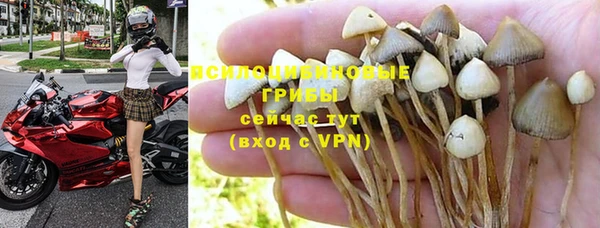мет Кодинск