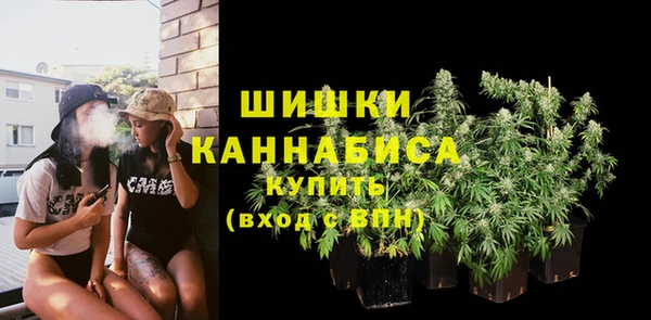 стафф Козловка