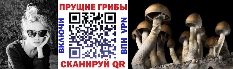 Галлюциногенные грибы мицелий  Купить  Чебаркуль 